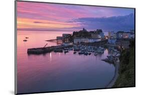 View over Harbour and Castle at Dawn, Tenby, Carmarthen Bay, Pembrokeshire, Wales, UK-Stuart Black-Mounted Photographic Print