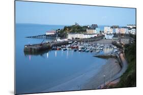 View over Harbour and Castle, Tenby, Carmarthen Bay, Pembrokeshire, Wales, United Kingdom, Europe-Stuart Black-Mounted Photographic Print