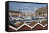 View over Harbour and Vetteberget Cliff, Fjallbacka, Bohuslan Coast, Southwest Sweden, Sweden-Stuart Black-Framed Stretched Canvas