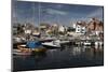 View over Harbour of Old Fishing Village, Southwest Sweden-Stuart Black-Mounted Photographic Print