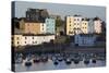 View over Harbour, Tenby, Carmarthen Bay, Pembrokeshire, Wales, United Kingdom, Europe-Stuart Black-Stretched Canvas
