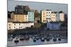 View over Harbour, Tenby, Carmarthen Bay, Pembrokeshire, Wales, United Kingdom, Europe-Stuart Black-Mounted Photographic Print