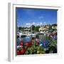 View over Harbour, Thonon-Les-Bains, Lake Geneva (Lac Leman), Rhone Alpes, France, Europe-Stuart Black-Framed Photographic Print