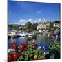 View over Harbour, Thonon-Les-Bains, Lake Geneva (Lac Leman), Rhone Alpes, France, Europe-Stuart Black-Mounted Photographic Print