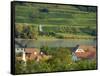 View over historic village Spitz towards the vineyards near Hofarnsdorf-Martin Zwick-Framed Stretched Canvas