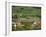 View over historic village Spitz towards the vineyards near Hofarnsdorf-Martin Zwick-Framed Photographic Print