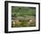 View over historic village Spitz towards the vineyards near Hofarnsdorf-Martin Zwick-Framed Photographic Print