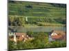 View over historic village Spitz towards the vineyards near Hofarnsdorf-Martin Zwick-Mounted Photographic Print