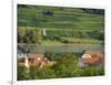 View over historic village Spitz towards the vineyards near Hofarnsdorf-Martin Zwick-Framed Photographic Print