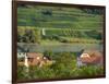 View over historic village Spitz towards the vineyards near Hofarnsdorf-Martin Zwick-Framed Photographic Print