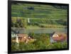 View over historic village Spitz towards the vineyards near Hofarnsdorf-Martin Zwick-Framed Photographic Print