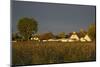 View over Houses Illuminateded During the Morning Sun-Uwe Steffens-Mounted Photographic Print