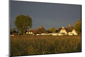 View over Houses Illuminateded During the Morning Sun-Uwe Steffens-Mounted Photographic Print