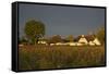 View over Houses Illuminateded During the Morning Sun-Uwe Steffens-Framed Stretched Canvas