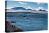 View over icebergs and the glaciers of Brown Bluff, Antarctica, Polar Regions-Michael Runkel-Stretched Canvas