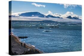 View over icebergs and the glaciers of Brown Bluff, Antarctica, Polar Regions-Michael Runkel-Stretched Canvas