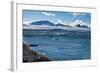 View over icebergs and the glaciers of Brown Bluff, Antarctica, Polar Regions-Michael Runkel-Framed Photographic Print