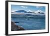 View over icebergs and the glaciers of Brown Bluff, Antarctica, Polar Regions-Michael Runkel-Framed Photographic Print