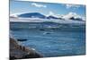 View over icebergs and the glaciers of Brown Bluff, Antarctica, Polar Regions-Michael Runkel-Mounted Photographic Print