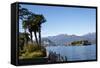 View over Isola Bella, Borromean Islands, Lake Maggiore, Italian Lakes, Piedmont, Italy, Europe-Yadid Levy-Framed Stretched Canvas