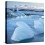 View over Jokulsarlon-Lee Frost-Stretched Canvas