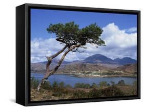 View over Lake and Hills, Loch Shieldaig, Shieldaig, Wester Ross, Highlands, Scotland, UK-Neale Clarke-Framed Stretched Canvas