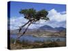 View over Lake and Hills, Loch Shieldaig, Shieldaig, Wester Ross, Highlands, Scotland, UK-Neale Clarke-Stretched Canvas