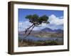 View over Lake and Hills, Loch Shieldaig, Shieldaig, Wester Ross, Highlands, Scotland, UK-Neale Clarke-Framed Photographic Print