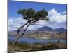 View over Lake and Hills, Loch Shieldaig, Shieldaig, Wester Ross, Highlands, Scotland, UK-Neale Clarke-Mounted Photographic Print