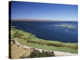 View Over Lake Titicaca, Near Puno, Peru, South America-Gavin Hellier-Stretched Canvas