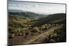 View over Landscape Near Lalibela at Dusk, Ethiopia, Africa-Ben Pipe-Mounted Photographic Print