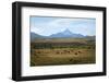 View over Lanin Volcano, Lanin National Park, Patagonia, Argentina, South America-Yadid Levy-Framed Photographic Print