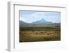 View over Lanin Volcano, Lanin National Park, Patagonia, Argentina, South America-Yadid Levy-Framed Photographic Print