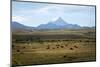 View over Lanin Volcano, Lanin National Park, Patagonia, Argentina, South America-Yadid Levy-Mounted Photographic Print