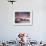 View over Lavendar Bay Toward the Habour Bridge and the Skyline of Central Sydney, Australia-Andrew Watson-Framed Photographic Print displayed on a wall