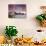 View over Lavendar Bay Toward the Habour Bridge and the Skyline of Central Sydney, Australia-Andrew Watson-Photographic Print displayed on a wall