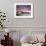 View over Lavendar Bay Toward the Habour Bridge and the Skyline of Central Sydney, Australia-Andrew Watson-Framed Photographic Print displayed on a wall