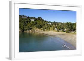 View over Little Oneroa Beach, Waiheke Island, Hauraki Gulf, North Island, New Zealand, Pacific-Michael Runkel-Framed Photographic Print