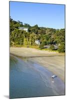 View over Little Oneroa Beach, Waiheke Island, Hauraki Gulf, North Island, New Zealand, Pacific-Michael Runkel-Mounted Photographic Print