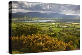 View over Llangorse Lake to Pen Y Fan from Mynydd Troed-Stuart Black-Stretched Canvas