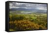 View over Llangorse Lake to Pen Y Fan from Mynydd Troed-Stuart Black-Framed Stretched Canvas