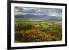 View over Llangorse Lake to Pen Y Fan from Mynydd Troed-Stuart Black-Framed Photographic Print