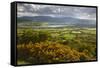 View over Llangorse Lake to Pen Y Fan from Mynydd Troed-Stuart Black-Framed Stretched Canvas