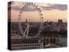 View over London West End Skyline with the London Eye in the Foreground, London, England, UK-Matthew Frost-Stretched Canvas