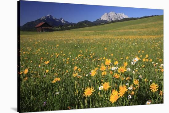 View over meadows towards the Grosse Arnspitze and the Wettersteinwand-null-Stretched Canvas