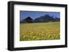View over meadows towards the Grosse Arnspitze, Bavaria, Germany-null-Framed Art Print