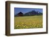 View over meadows towards the Grosse Arnspitze, Bavaria, Germany-null-Framed Art Print