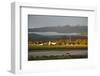 View over Molinos, Salta Province, Argentina, South America-Yadid Levy-Framed Photographic Print