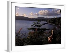 View Over Morne Larcher, Baie De La Chery (Chery Bay), Martinique-Guy Thouvenin-Framed Photographic Print