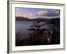 View Over Morne Larcher, Baie De La Chery (Chery Bay), Martinique-Guy Thouvenin-Framed Photographic Print